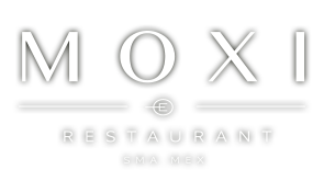 logo moxi